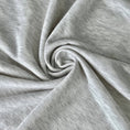 Load image into Gallery viewer, LasilkFabric Terry Knit Fabric, Hoodie/Shorts/Sweatpants Fabric - 
